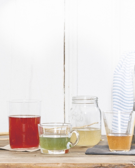 What the hell is Kombucha?