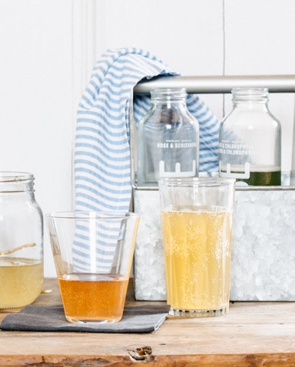 Kombucha, c'est quoi ça?