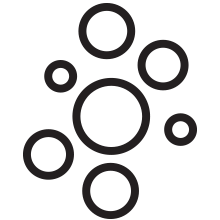 What the hell - The mother