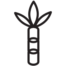 What the hell - Sugar