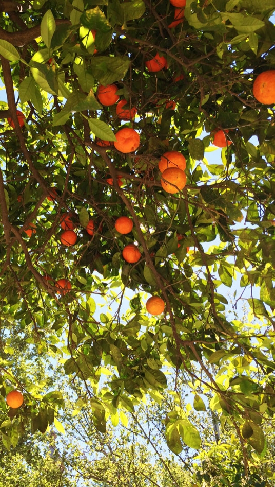 Priorité à la santé
