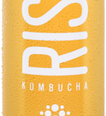 Bright Side of the Moon, Rise party