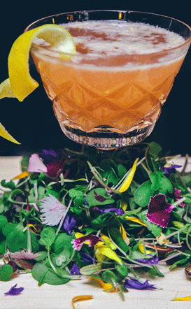 The European Layover