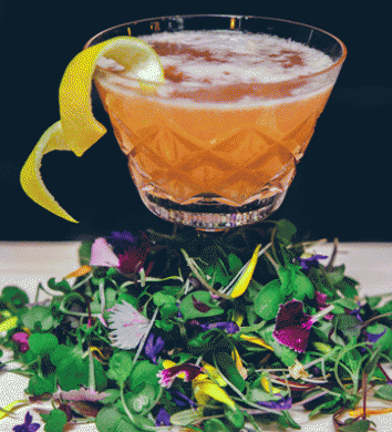 The European Layover